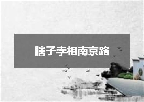 瞎子孛相南京路